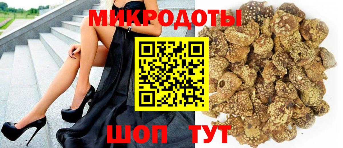 Псилоцибиновые грибы Psilocybine cubensis Дмитров